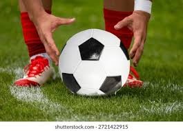 中超-主场大胜河南队 上海海港领跑联赛积分榜