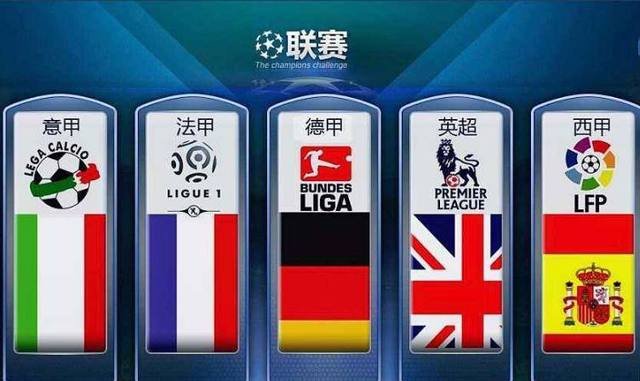 其他国家效