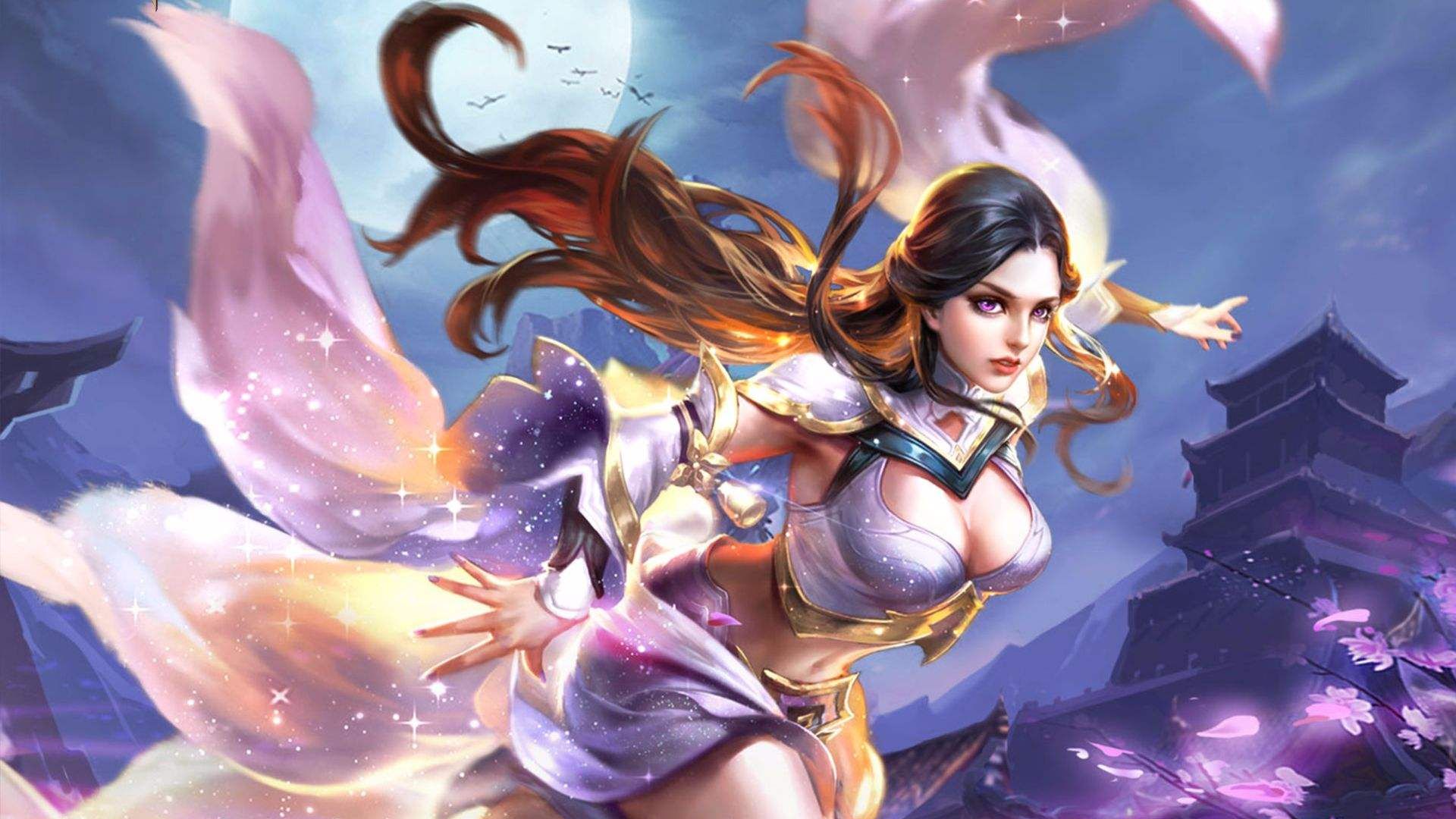 球迷的关注 球迷的关注